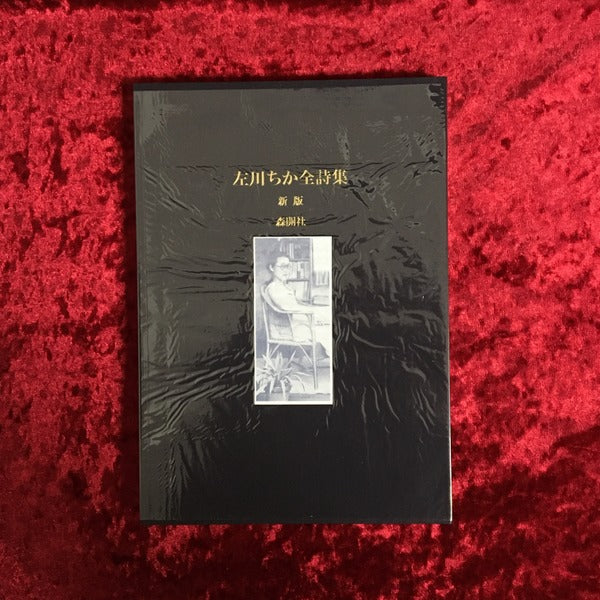 左川ちか全詩集 <叢書《l'Évocation》> 新版