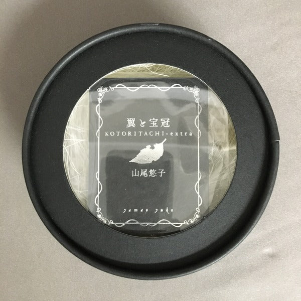 翼と王冠 山尾悠子