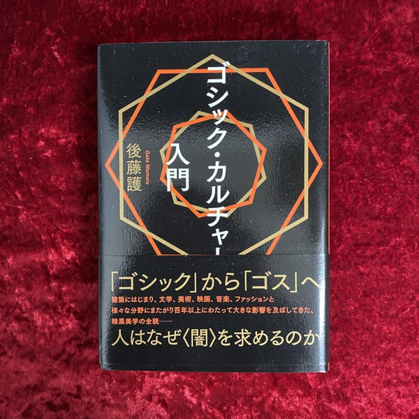 ゴシック・カルチャー入門 <Ele-king books>