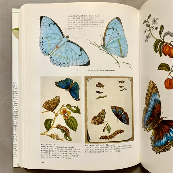 世界大博物図鑑 全1~5巻+別巻1~2巻 全7巻揃い