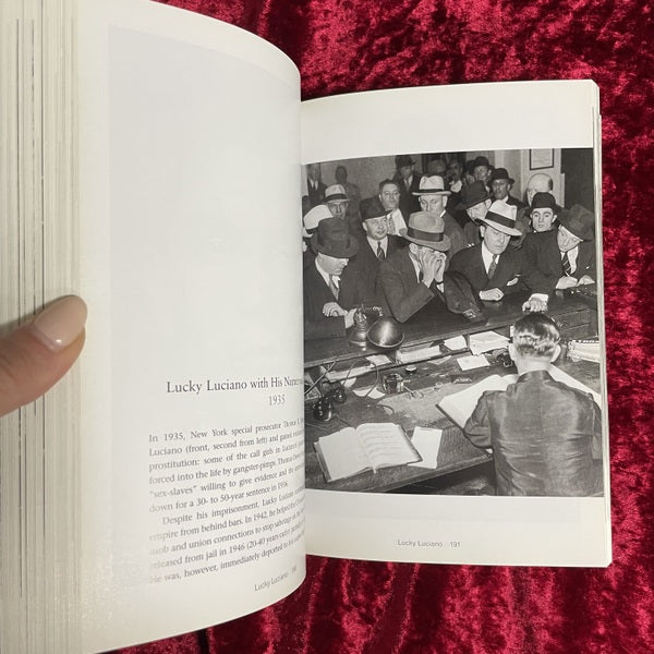 Illustrated True Crime : A Photographic Record 洋書