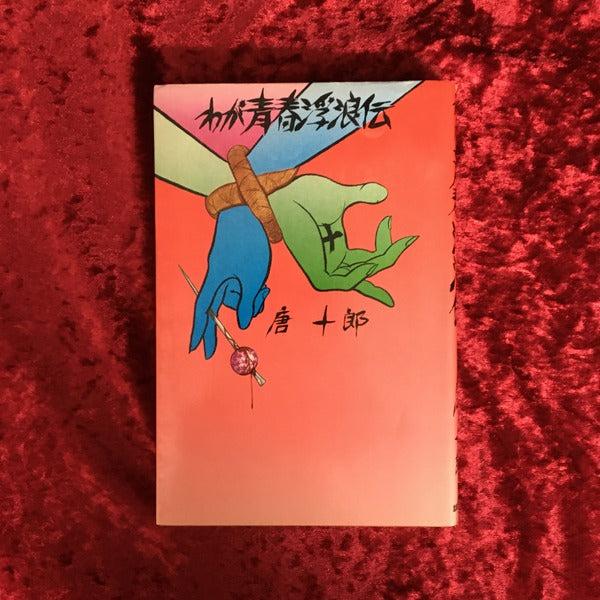 わが青春浮浪伝