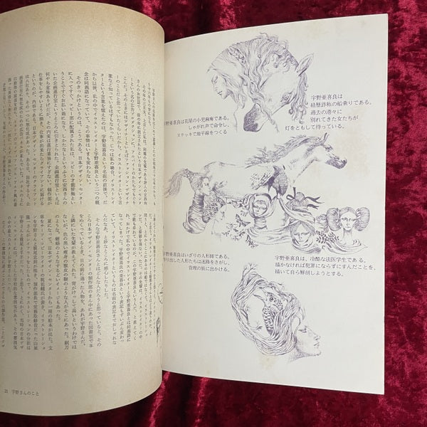 月刊 絵本 1978年12月号 特集 宇野亜喜良 華麗な変形譚