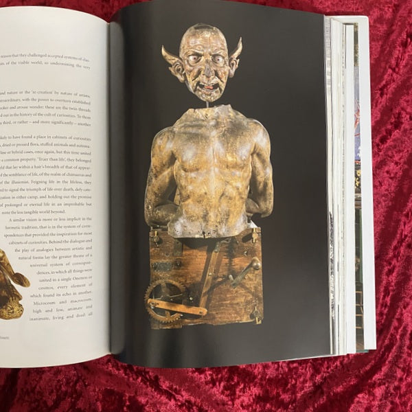 Cabinets of Curiosities 洋書
