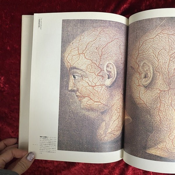 解剖の美学 <Fantastic dozen 第11巻>