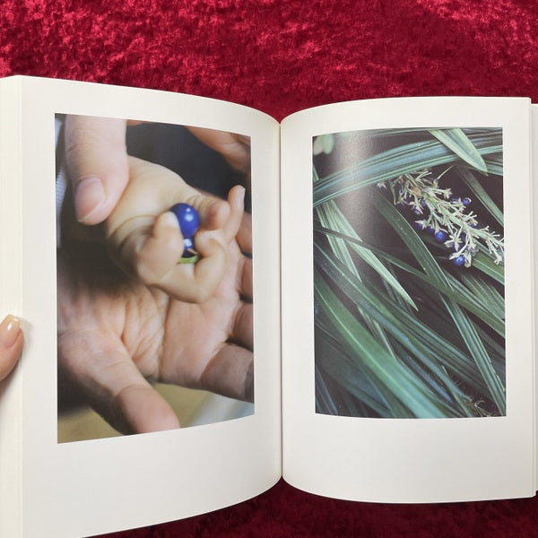 At home : 上田義彦写真集
