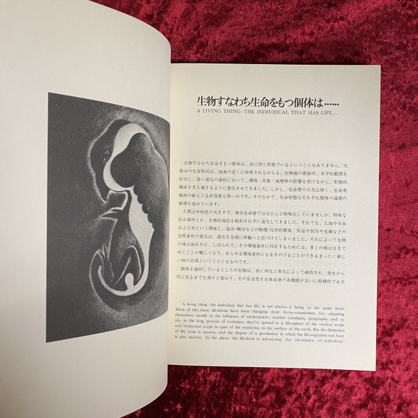小宇宙 : 鏡の淵のアリス