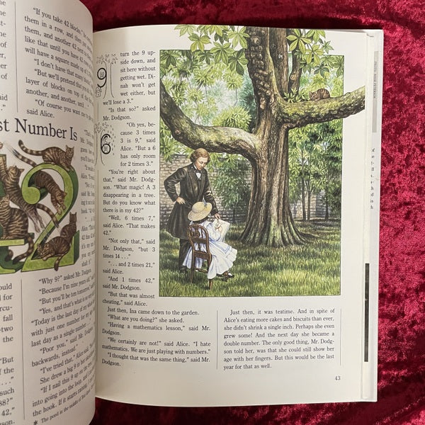The Other Alice: The Story of Alice Liddell and Alice in Wonderland 洋書