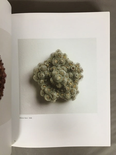 Christiane Löhr クリスティアーネ・レーア作品集 洋書