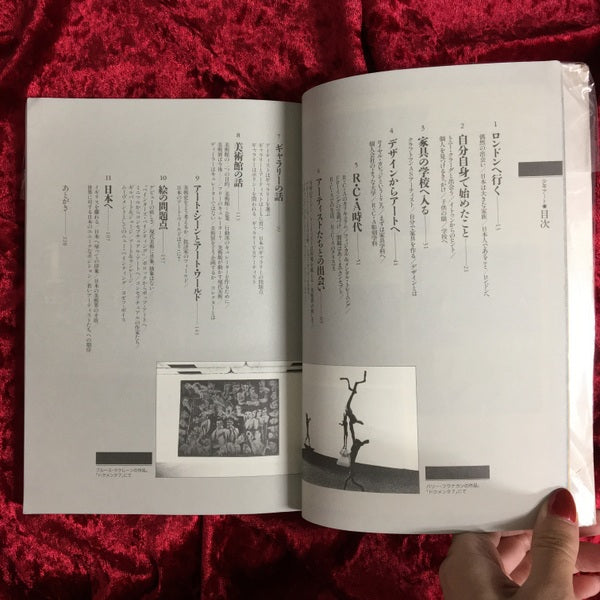 少年アート : ぼくの体当り現代美術