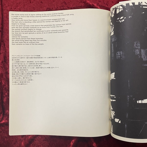 Tomato Real and Imaginary Flowers