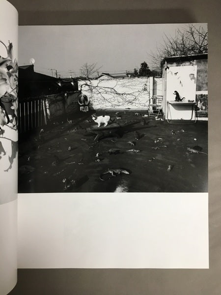 荒木経惟写真集 Rat Hole Gallery 大判