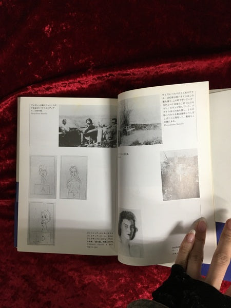 G.バタイユ伝 上 下 2冊セット 上・下 2冊セット