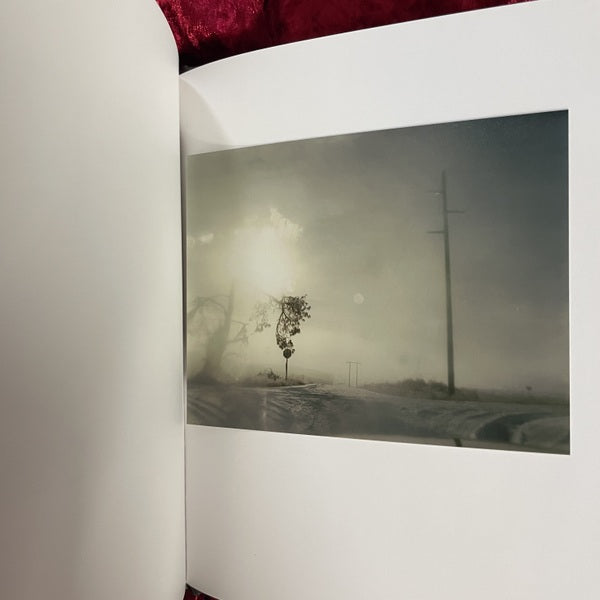 Crooked Cracked Tree:Todd Hidoトッド・ハイド 洋書 オリジナルプリント付き