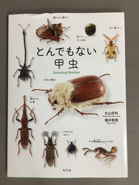 とんでもない甲虫