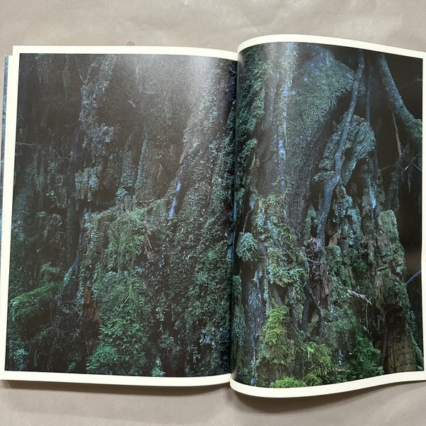 QUINAULT Yoshihiko UEDA