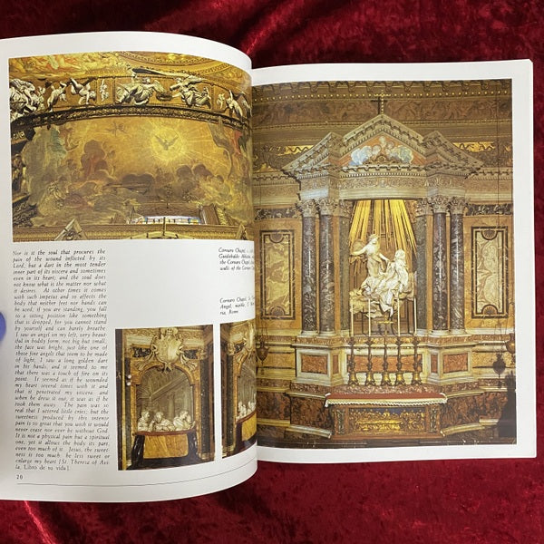 Bernini 洋書 ジャン・ロレンツォ・ベルニーニ