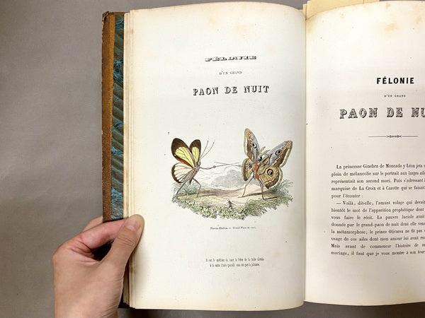 LES PAPILLONS アメデ・ヴァラン挿絵本「パピヨン」 2冊揃