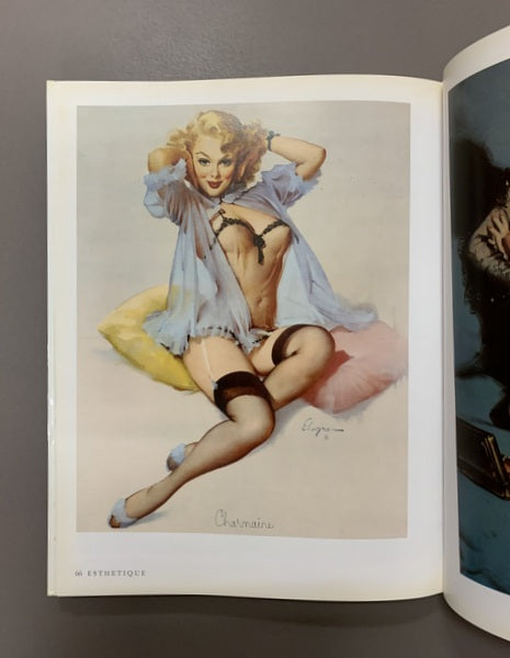 THE GOLDEN AGE OF Pin-Up Art ピンナップ 洋書