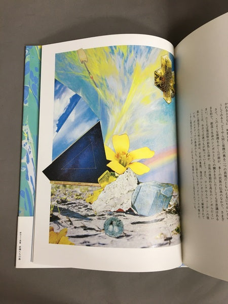 妖精たちの森 : 野中ユリ画集