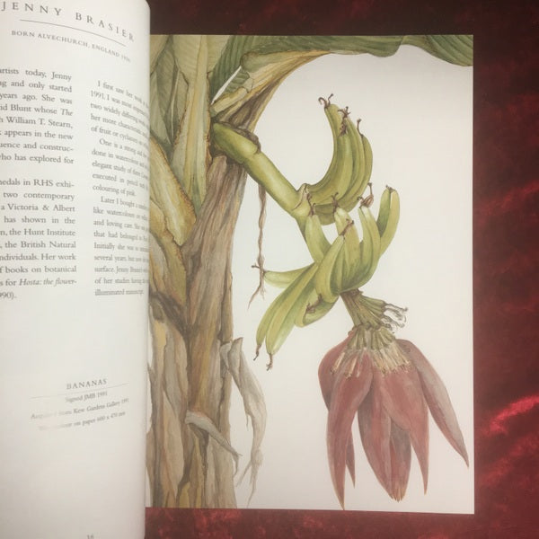 Contemporary Botanical Artists The Shirley Sherwood Collection 洋書