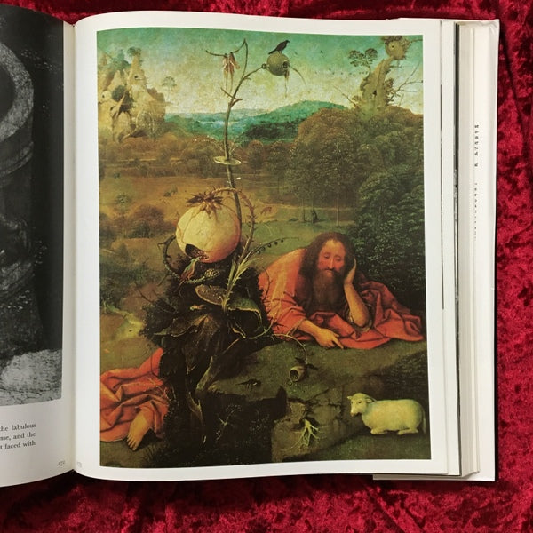 Hieronymus Bosch 洋書