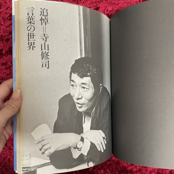 さよなら寺山修司 <ペーパームーン>