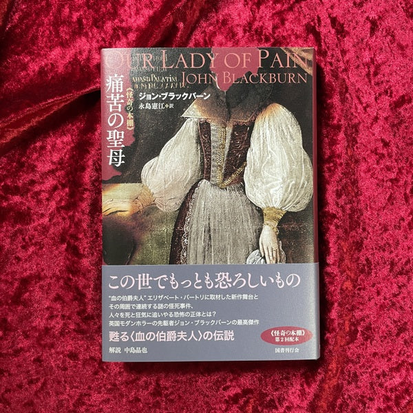 【新刊書籍】痛苦の聖母