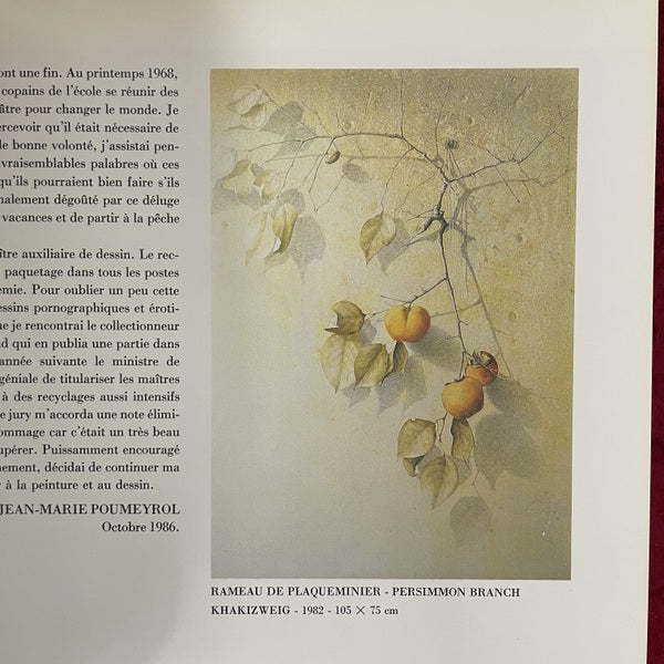 Jean-Marie Poumeyrol: Peintures Paintings Gemalde 洋書 ジャン=マリー・プメイロール