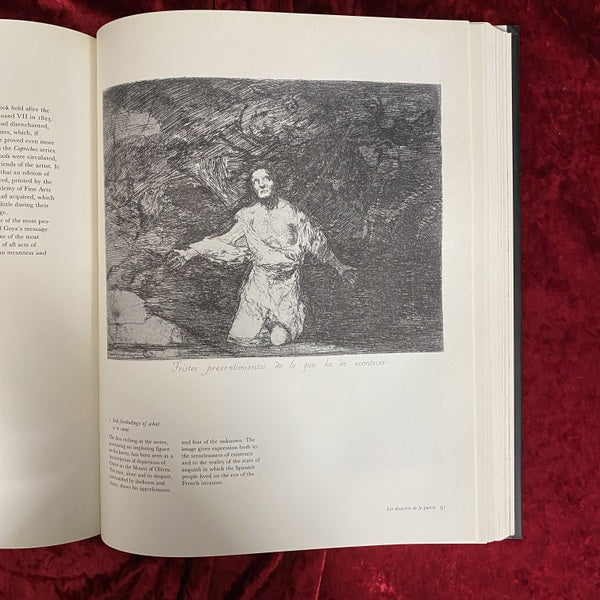 Goya: The Complete Etchings and Lithographs 洋書