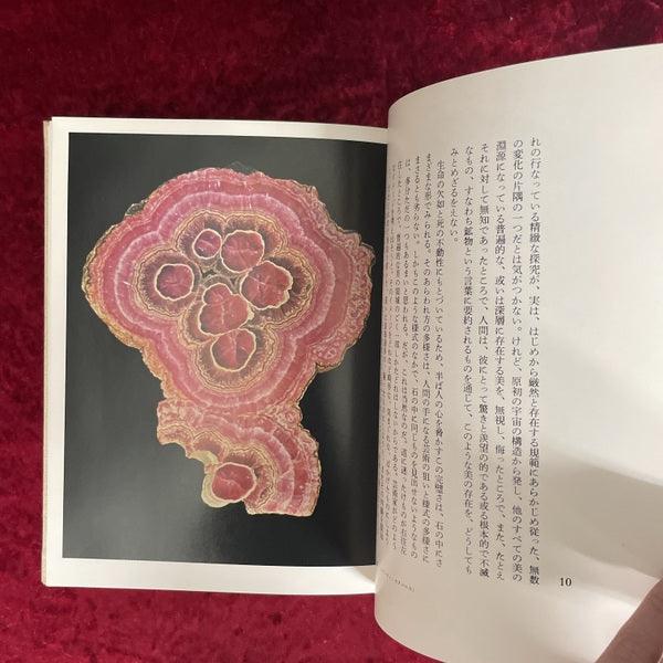 石が書く <創造の小径>