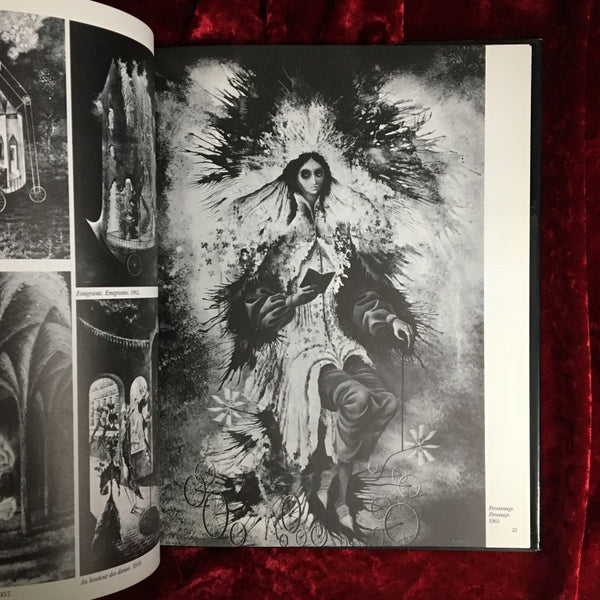 REMEDIOS VARO レメディオス・ヴァロ 洋書