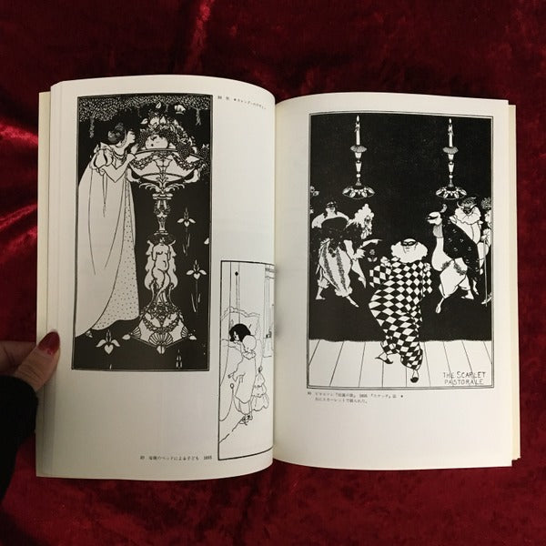 ビアズリーのイラストレーション (双書美術の泉 14)