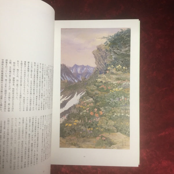 百花の絵 : 館蔵の江戸時代絵画と関連の優品