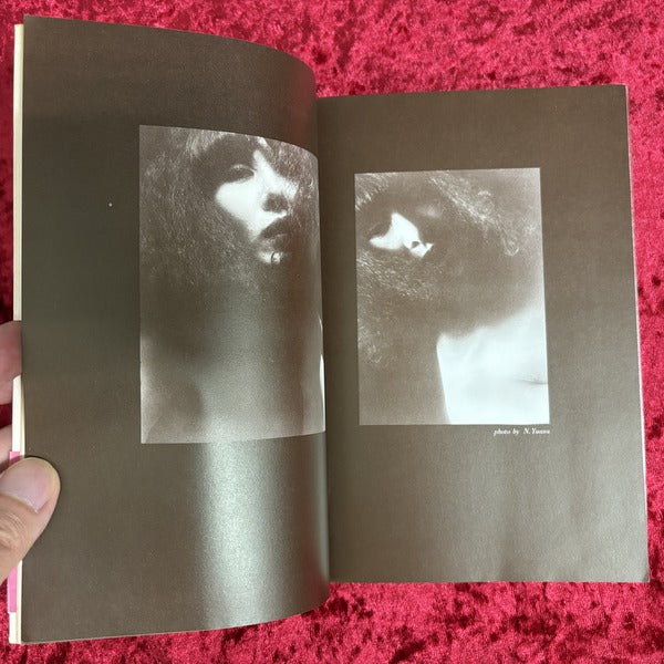 シメール 日夏レイ詩集