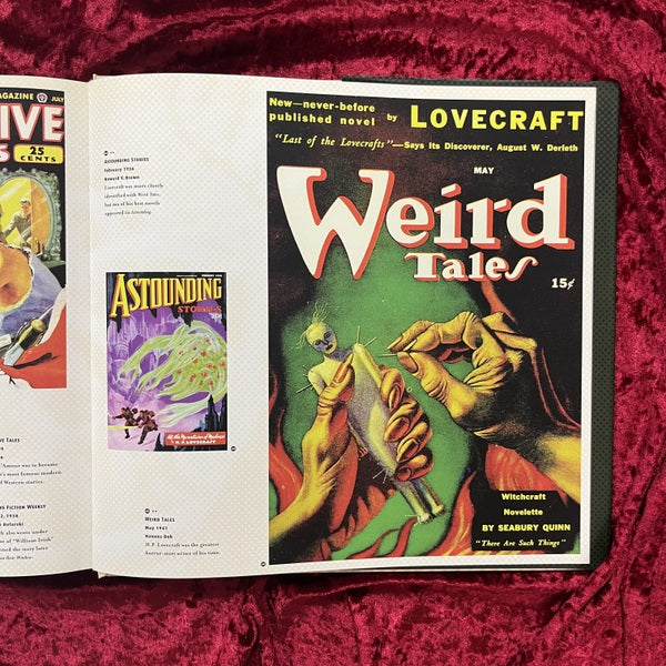 Pulp Culture: The Art of Fiction Magazines 洋書