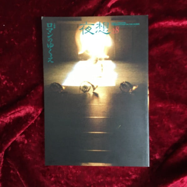 <夜想> 28 特集:ロマンのゆくえ