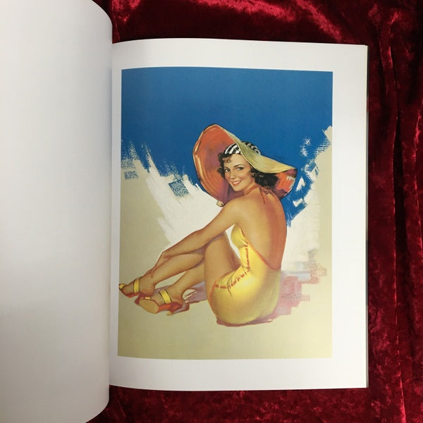 Swimsuit Sweeties 洋書