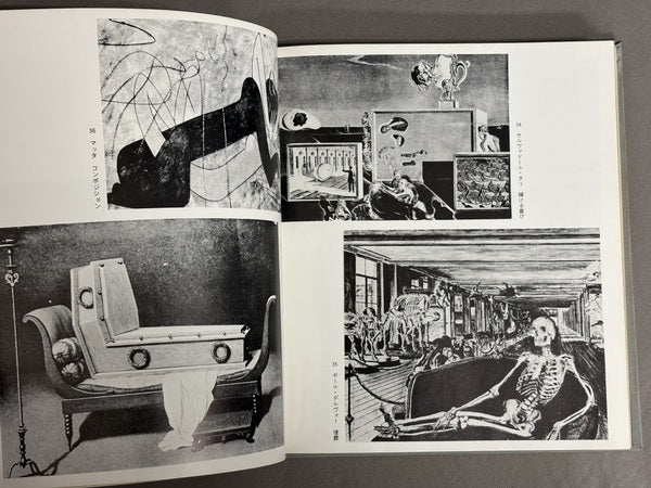 吸血鬼幻想 種村季弘 野中ユリ 装幀