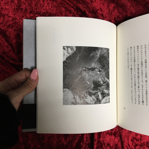 光の階梯/闇の折り目