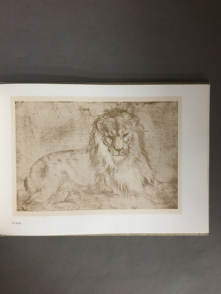 ALBRECHT DÜRER SKETCHBOOK デューラー素描集 洋書