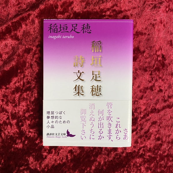 稲垣足穂詩文集 <講談社文芸文庫>