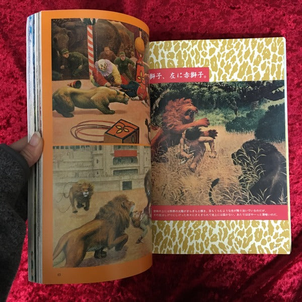 新世紀少年密林大画報 : 子どもの昭和史 <別冊太陽>