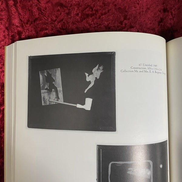 Joseph Cornell ジョセフ・コーネル 洋書
