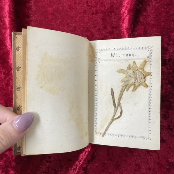 Vergissmeinnicht 勿忘草のメモリアルブック アンティーク 洋古書