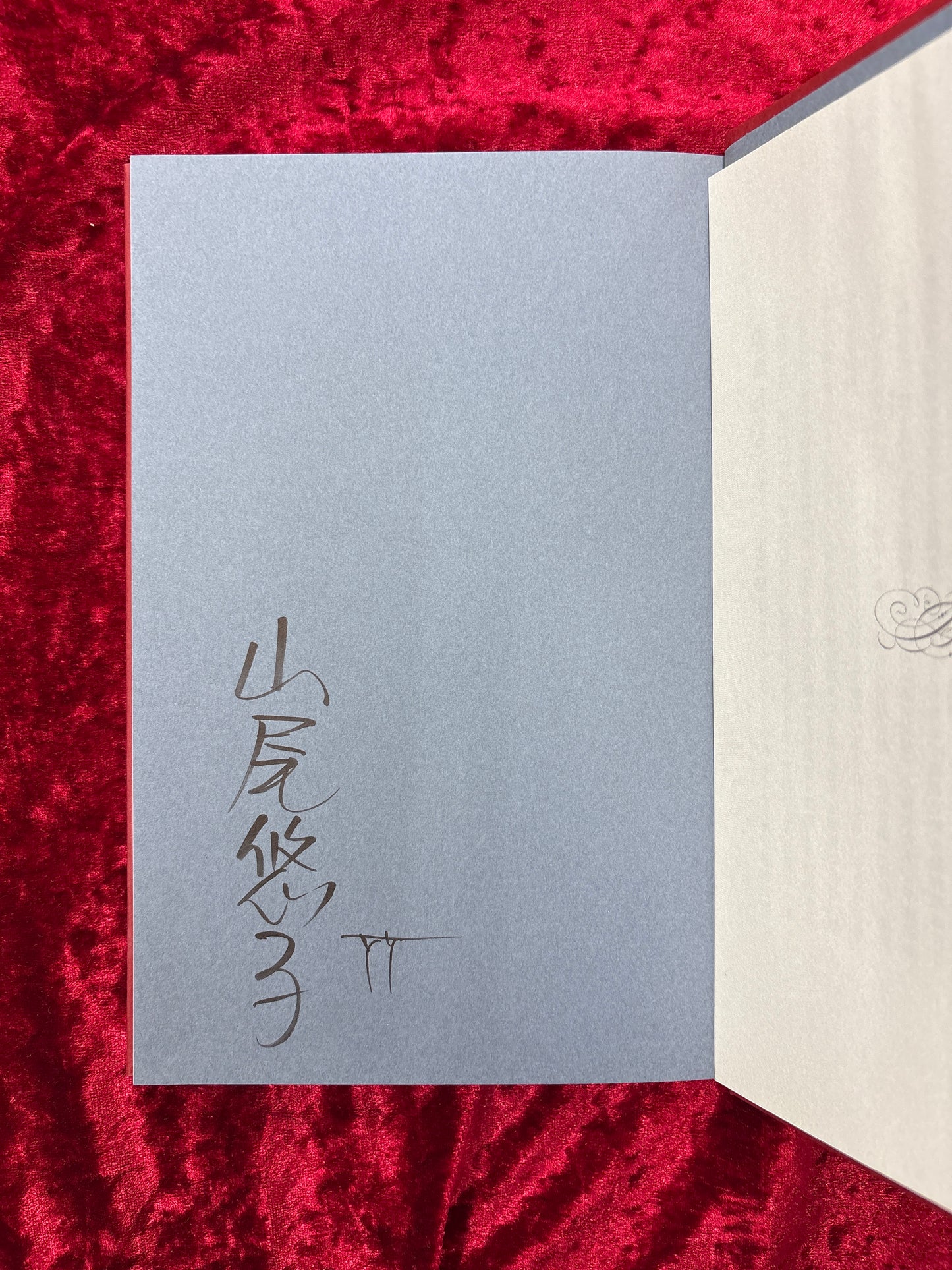 角砂糖の日 山尾悠子 署名本