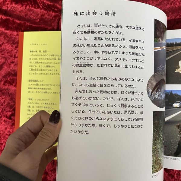 死を食べる <アニマルアイズ : 動物の目で環境を見る 2>