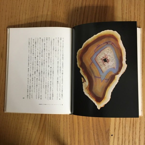 石が書く 叢書創造の小径 ロジェ・カイヨワ 岡谷公二 訳