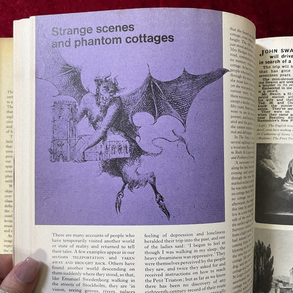 Phenomena: A Book of Wonders 洋書