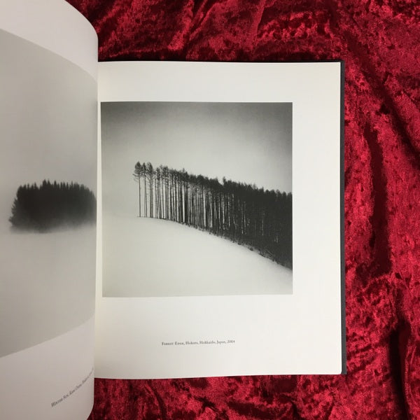 PHILOSOPHER'S TREE 著:マイケル・ケンナ